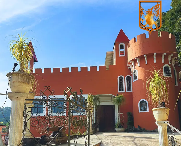 Victória Castelinho